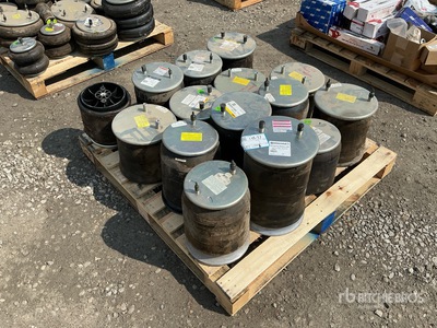 Quantity of Air Bags