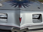 General Appearance with Paint