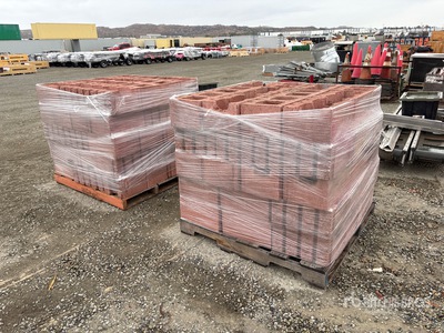 Quantity of (160) 10inx10inx16in Red Block