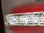 Engine with Emission Label