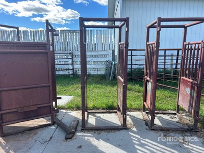 Stampede Steel Palpation Cage