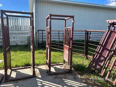 Stampede Steel Palpation Cage
