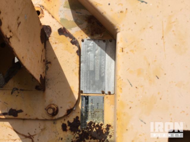 General Appearance #1