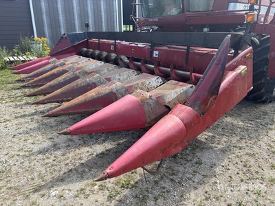 1991 Case IH 1083 8 Row 12 ft Corn Maaikop