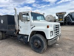 General Appearance with Paint