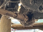 Underbody with Power Take Off
