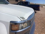 General Appearance with Paint