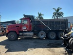 General Appearance with Paint