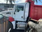 General Appearance with Paint