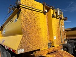 General Appearance with Paint