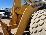 General Appearance with Paint