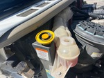 Engine with Radiator