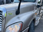 General Appearance with Paint