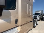 General Appearance with Paint