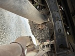 Underbody with Transmission