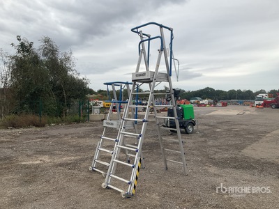 Quantity of (2) Ladder