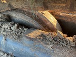 Undercarriage with Left Idler