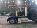 General Appearance with Paint