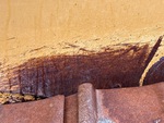 General Appearance with Pintura
