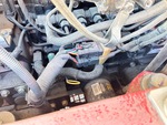 Engine with Oil Leaks