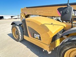 General Appearance with Paint