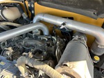 Engine with Exhaust System