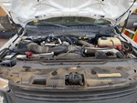 Motore with