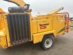 General Appearance with Paint