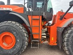General Appearance with Paint