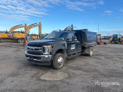 2018 Ford F-450 4x2 Kipper-Lkw