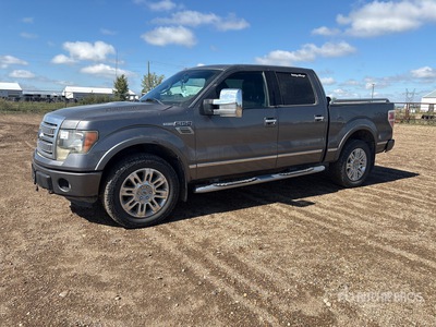 2009 Ford F-150 Platinum 4x4 Crew Cab Pickup