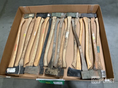 (19) Axes