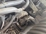 Engine with Exhaust System