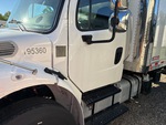 General Appearance with Paint