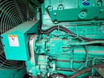 Engine with Fuel Leaks