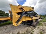 General Appearance with Paint