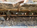 Undercarriage with Left Track Links