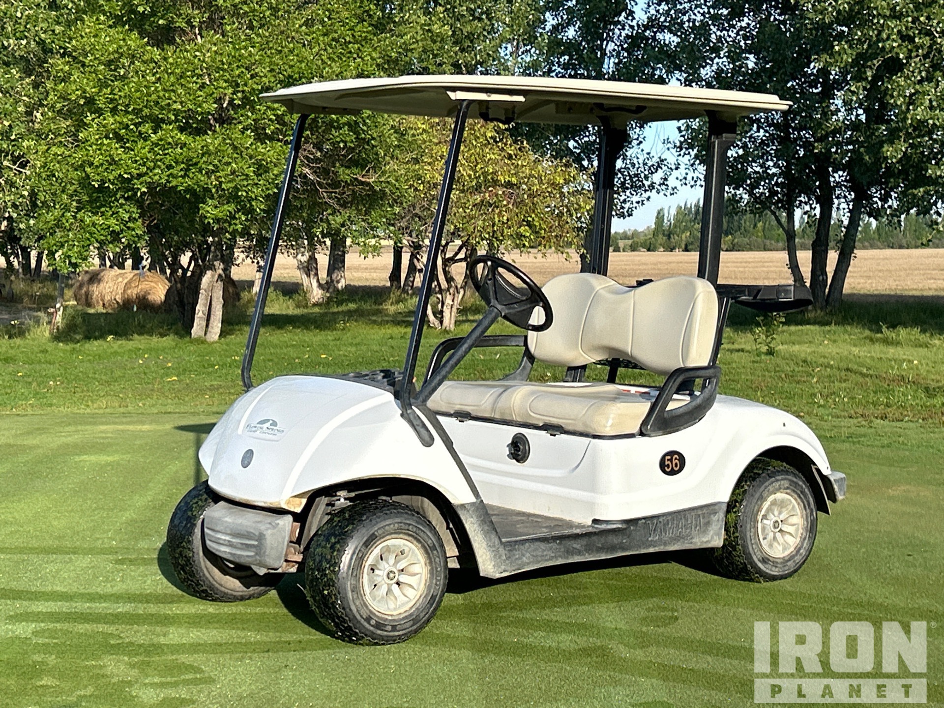 Yamaha YDREX6 Golf Cart