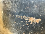 General Appearance with Frame Stamp Serial Number/VIN Photo