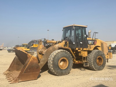 2009 Cat 966 H Pala gommata