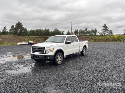 2010 Ford F-150 FX4 4x4 Crew Cab Pickup