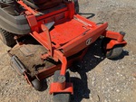 General Appearance with Paint