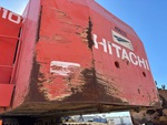 General Appearance with Paint