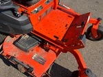 General Appearance with Paint