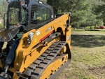 General Appearance with Paint