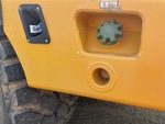 General Appearance with Paint