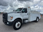 General Appearance with Paint