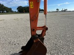 General Appearance with Paint