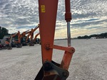 General Appearance with Paint