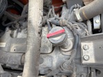 Engine with Oil Leaks